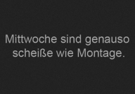 schwarz2836.jpg